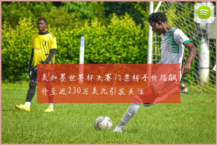 美加墨世界杯决赛门票转手价格飙升至近230万美元引发关注
